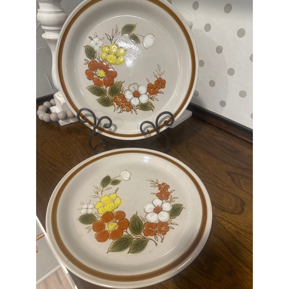 Mountain Wood Collection Trellis Blossom Stoneware Dinner Plates 70's Set of 2